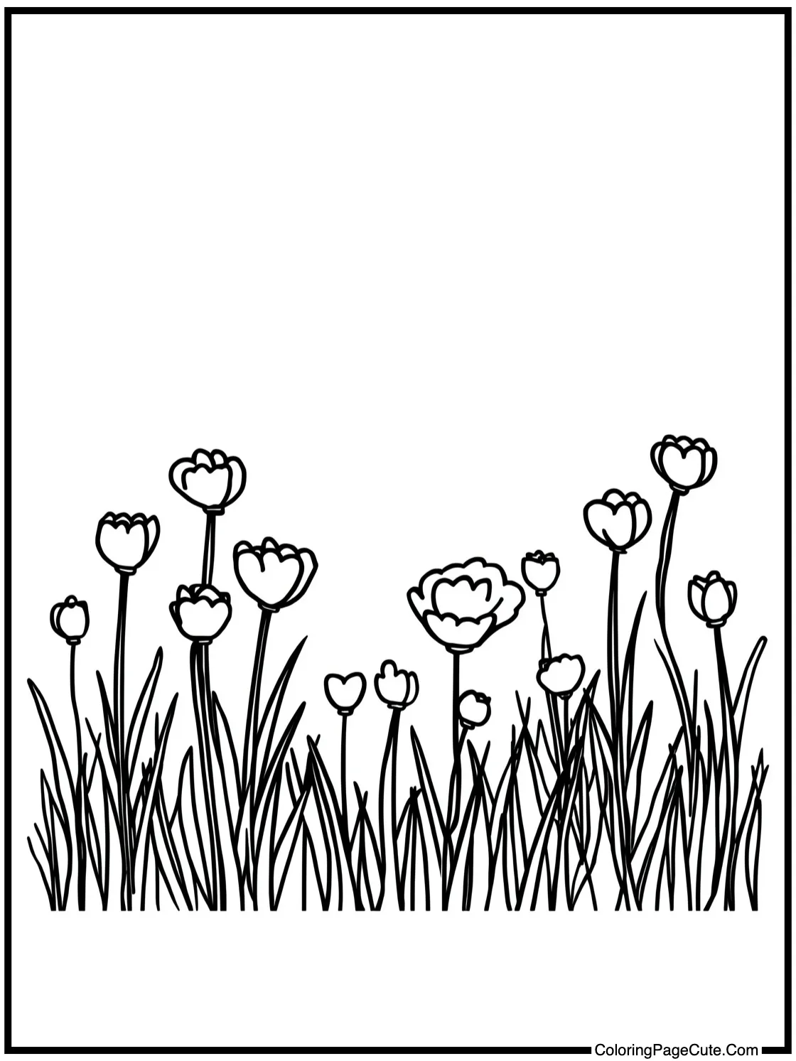 showing a lovely meadow