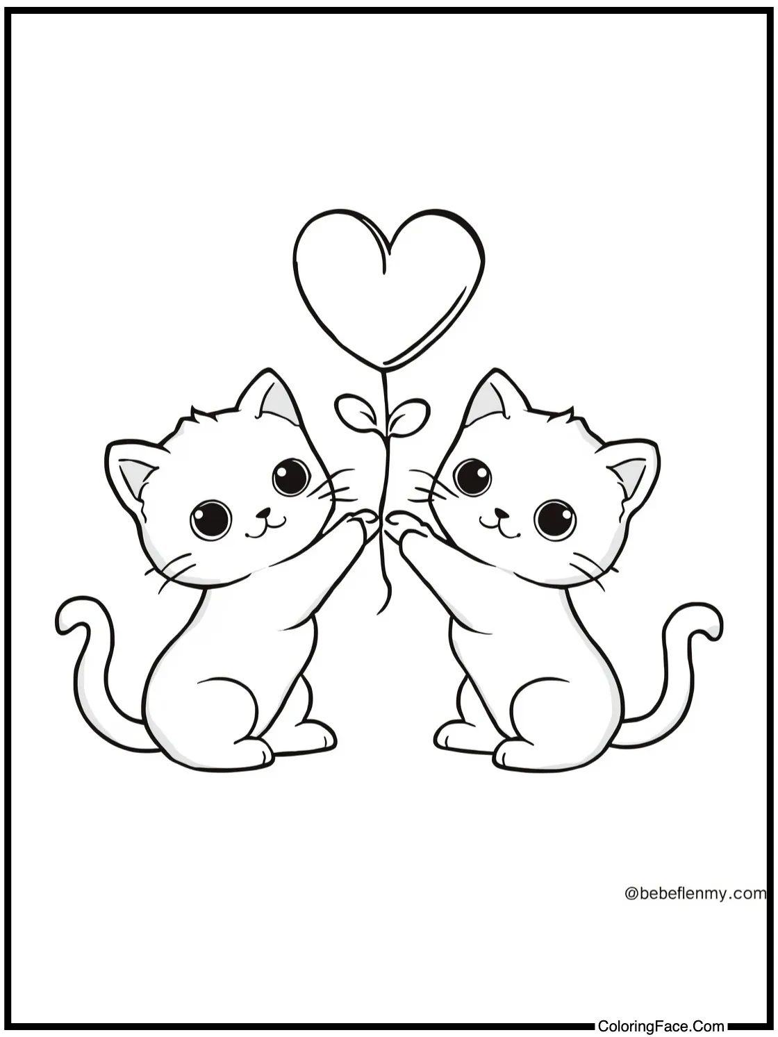 cute kittens playing