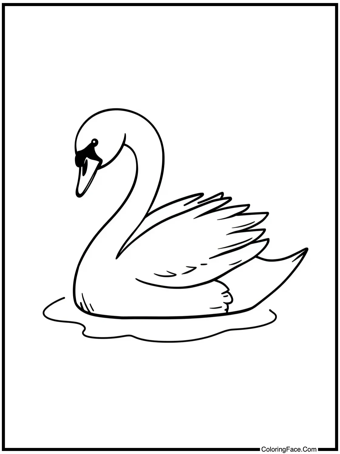 a graceful swan