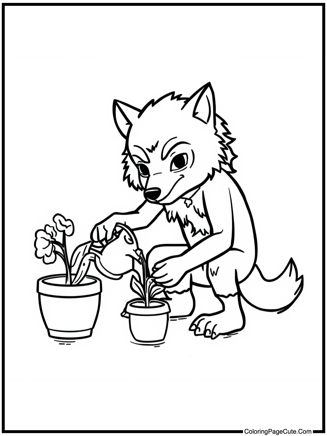 watering plants.