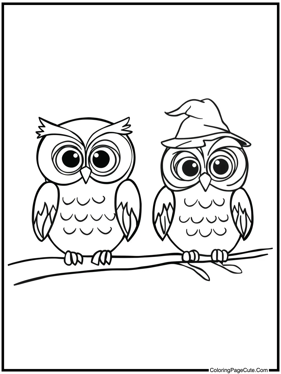 with wise owls