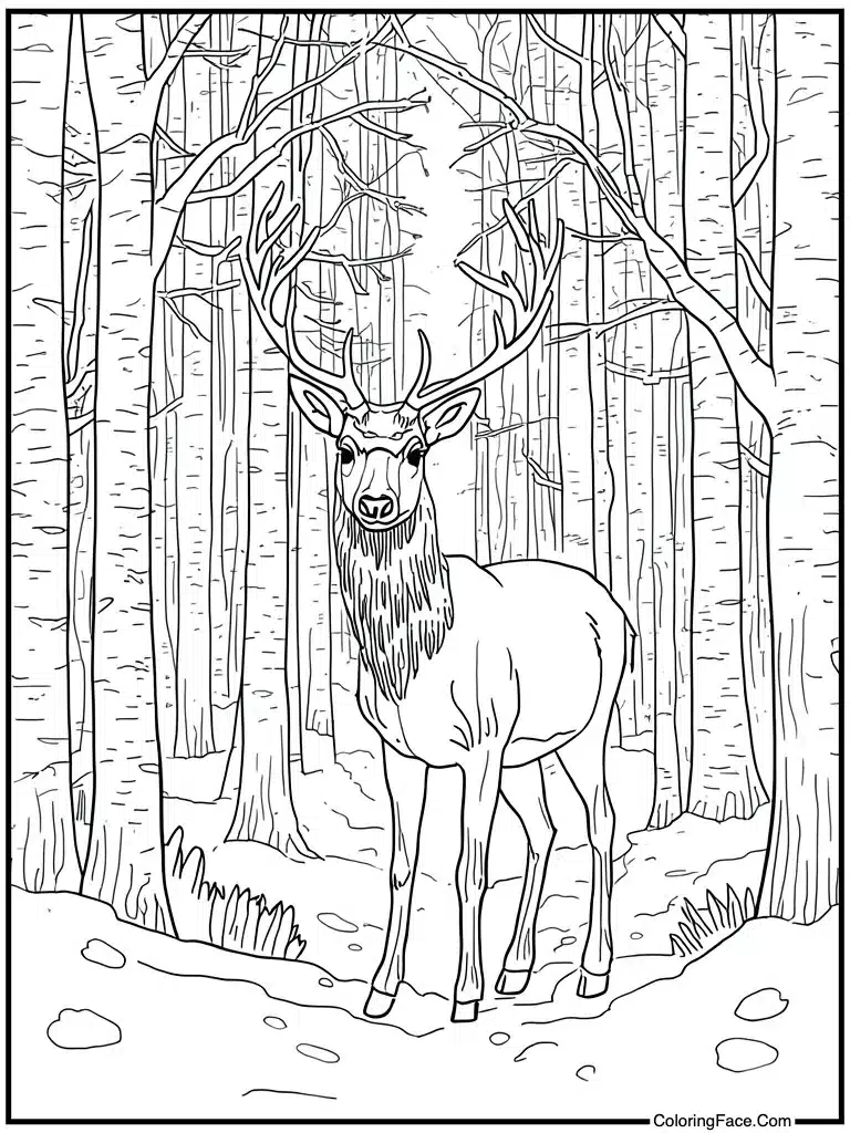 Reindeer standing in forest