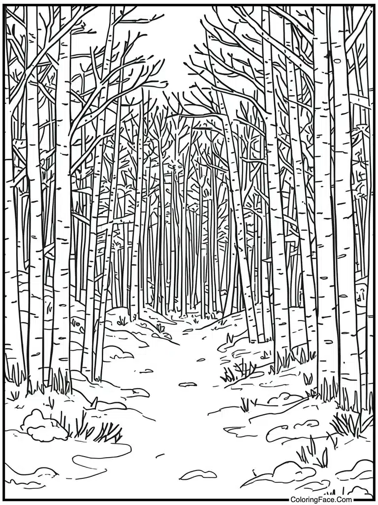 Simple outline for kids