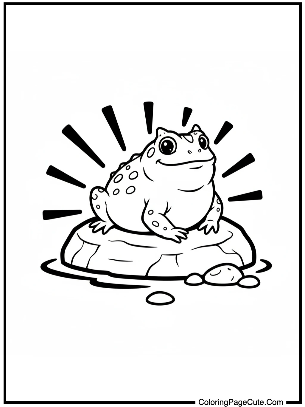 amphibia basking on a rock