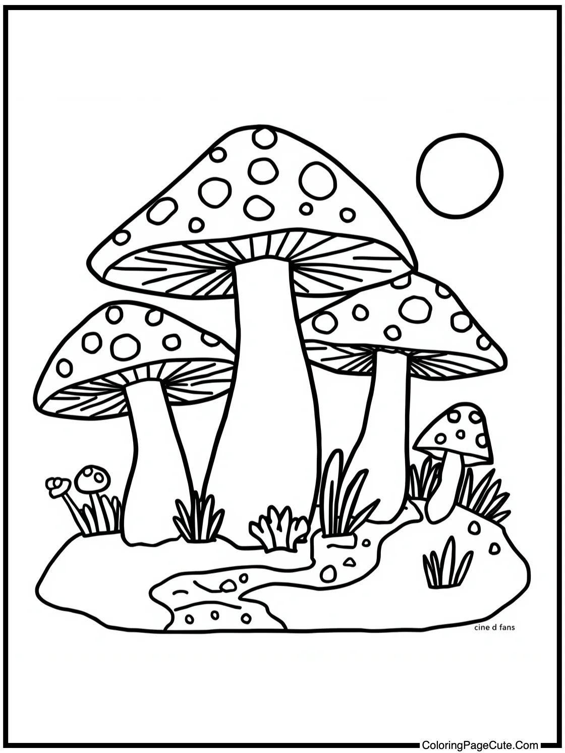 with little pathways