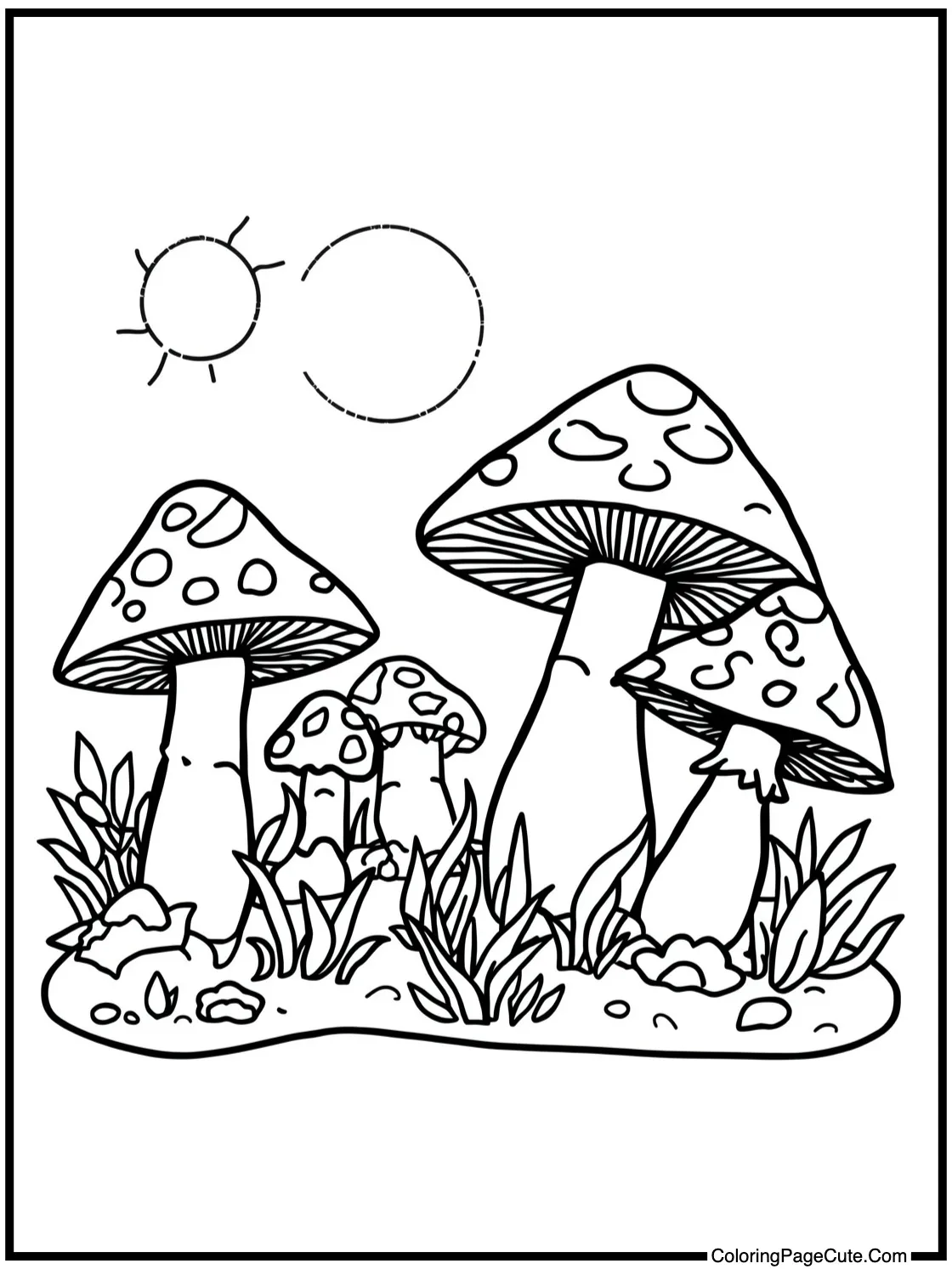 in a peaceful setting