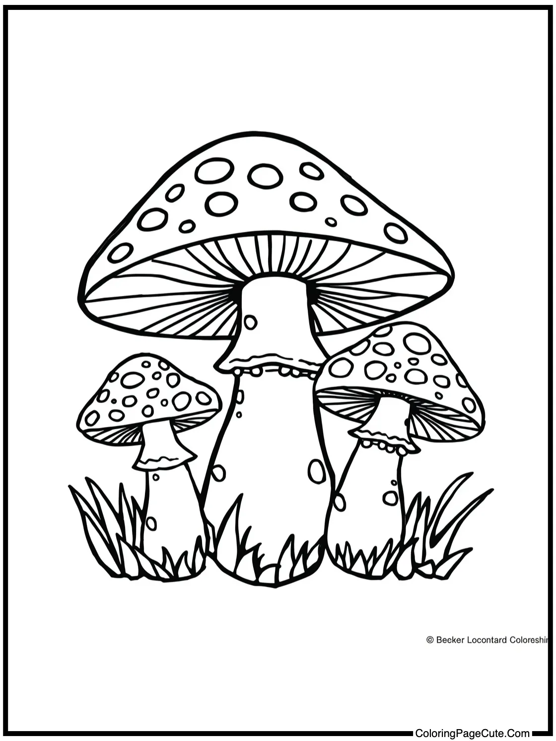 with tiny glowing lights