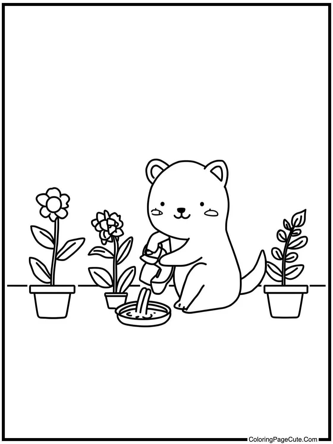 watering garden plants