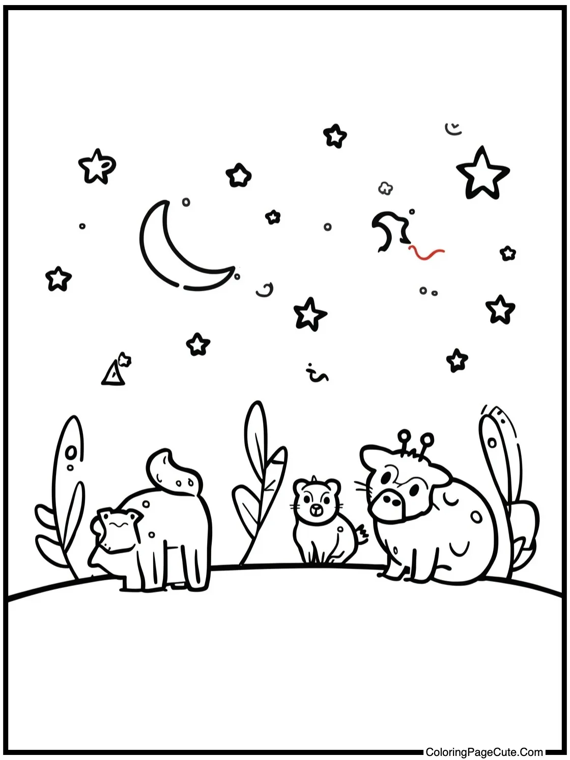 watching the night stars