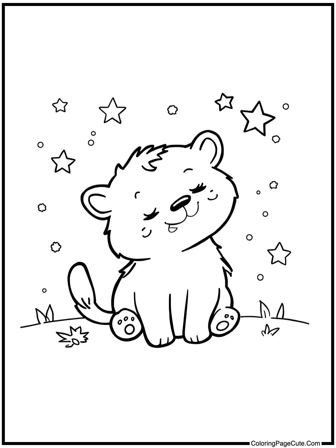 stargazing peacefully