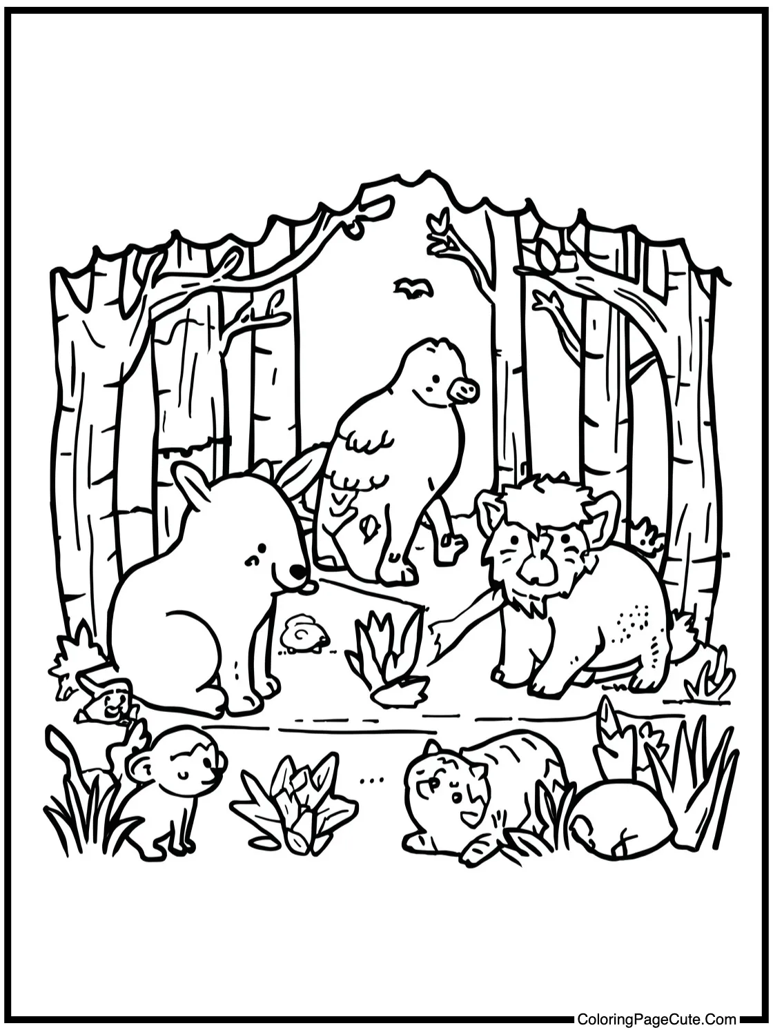 exploring the forest