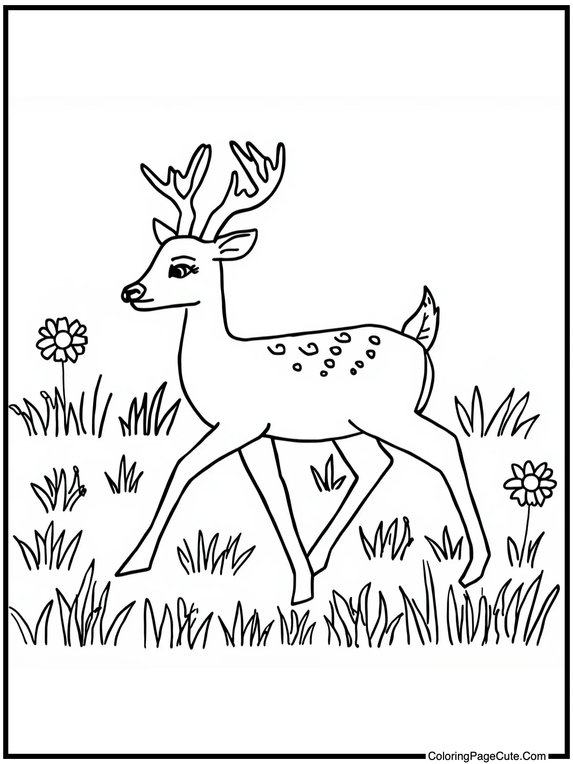 walking through meadow