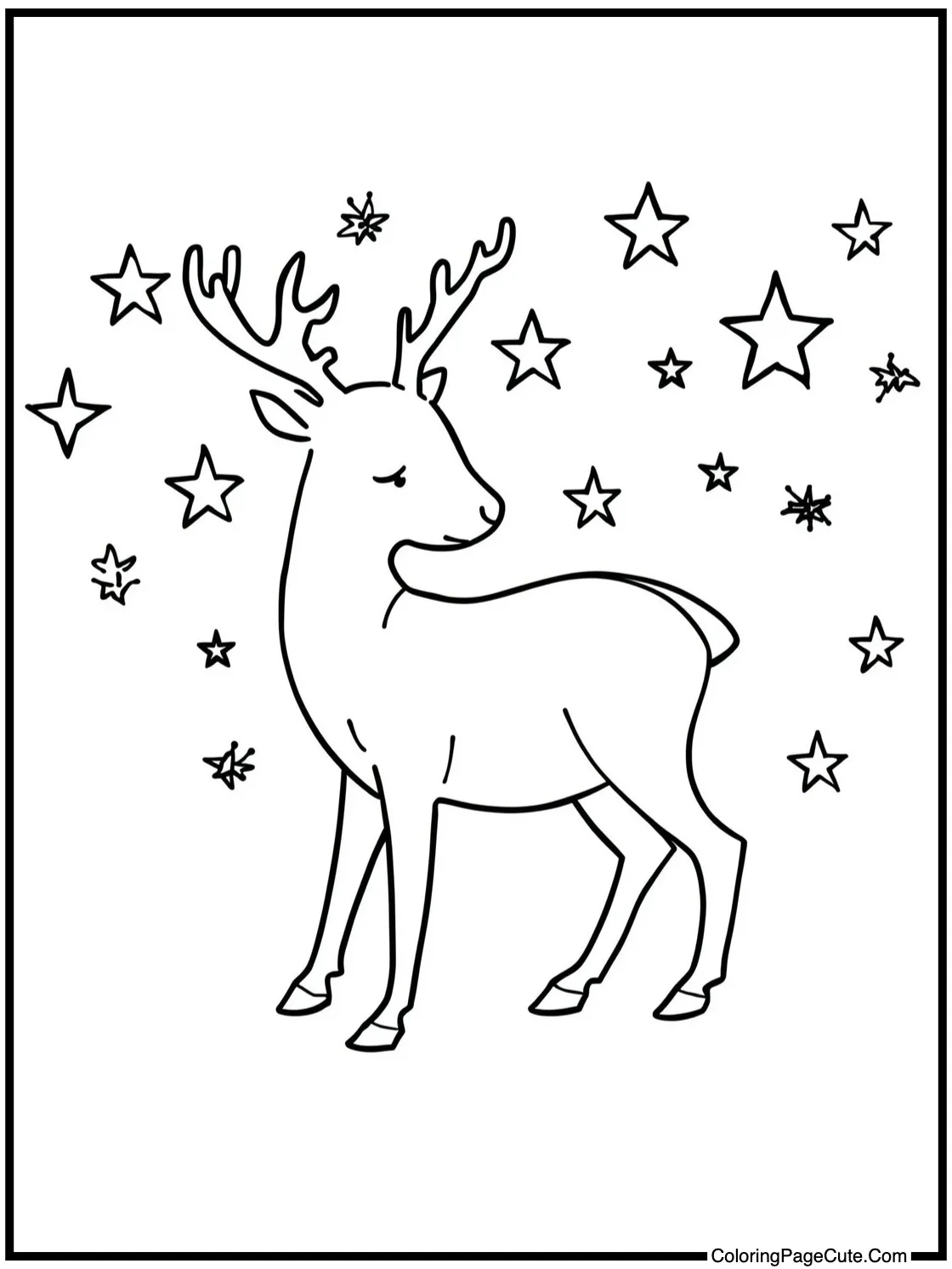 under twinkling stars