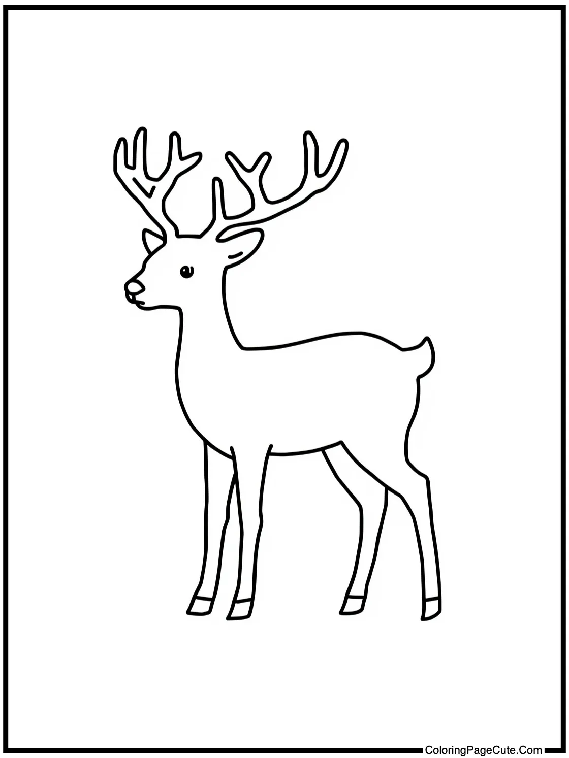 discovering new paths