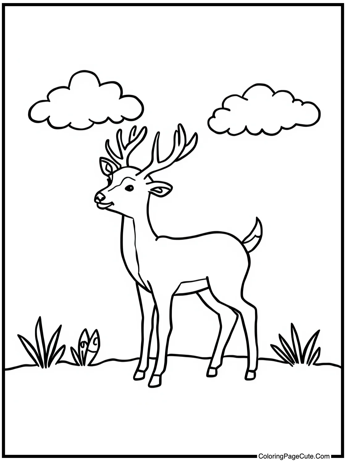 with blooming flowers