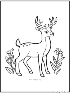 deer coloring page