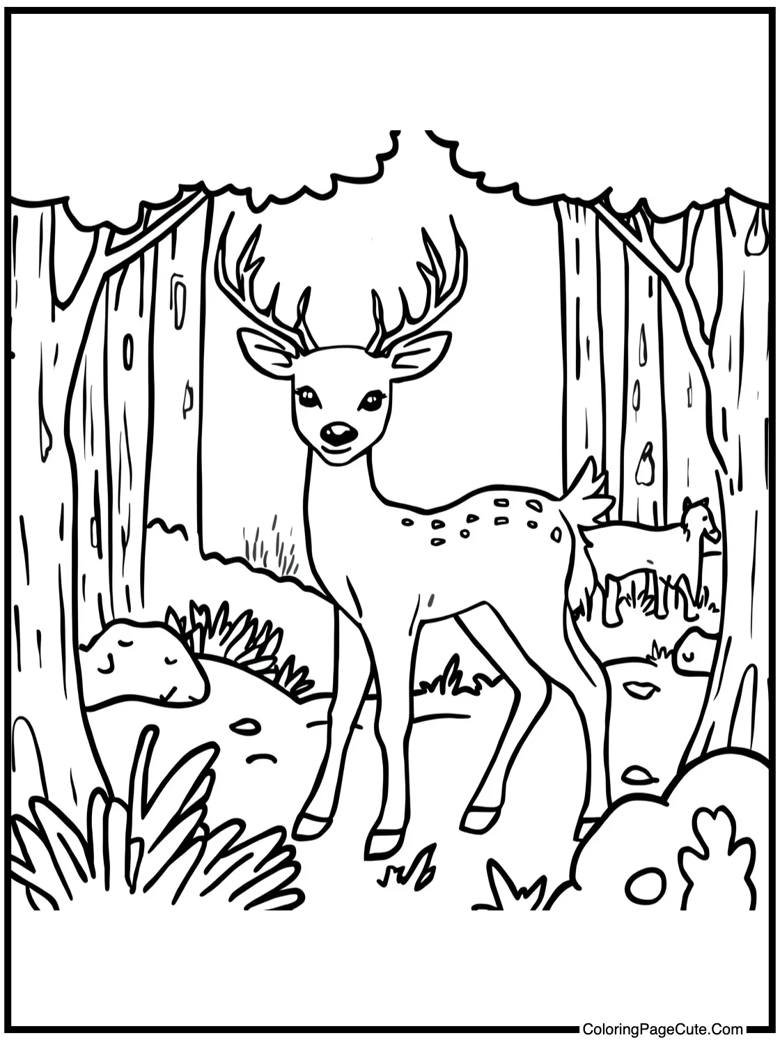 enjoying forest scene