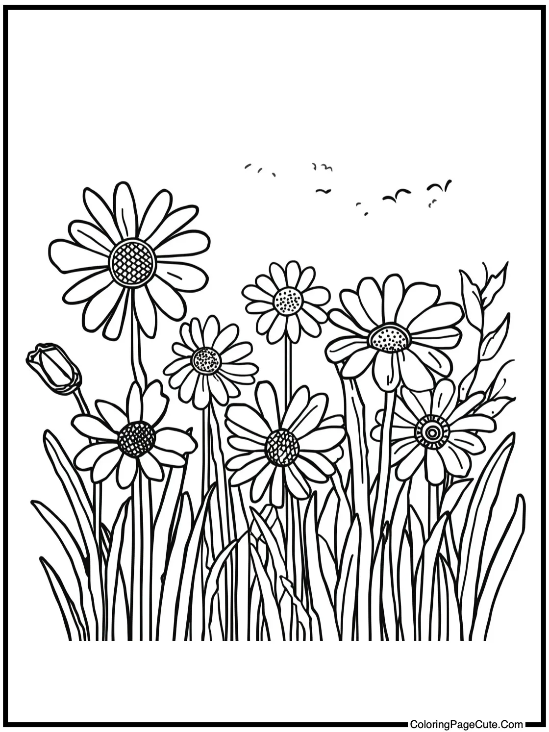 starry night camping