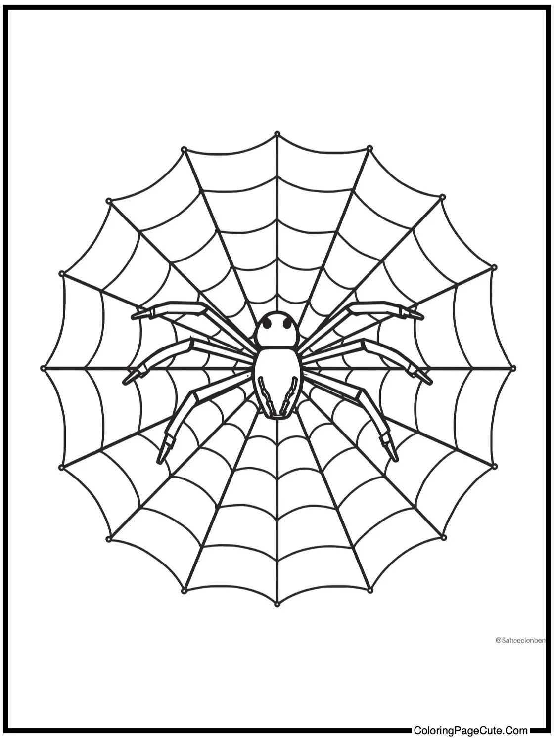 Spider web weaving