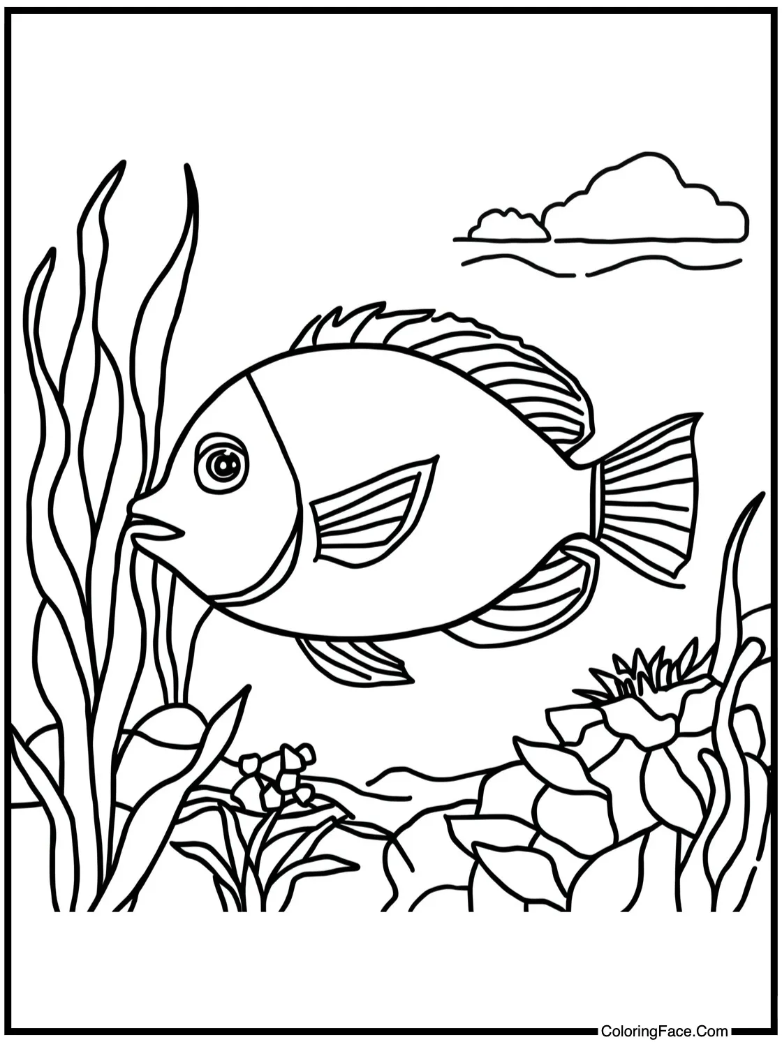 Tropical fish hiding