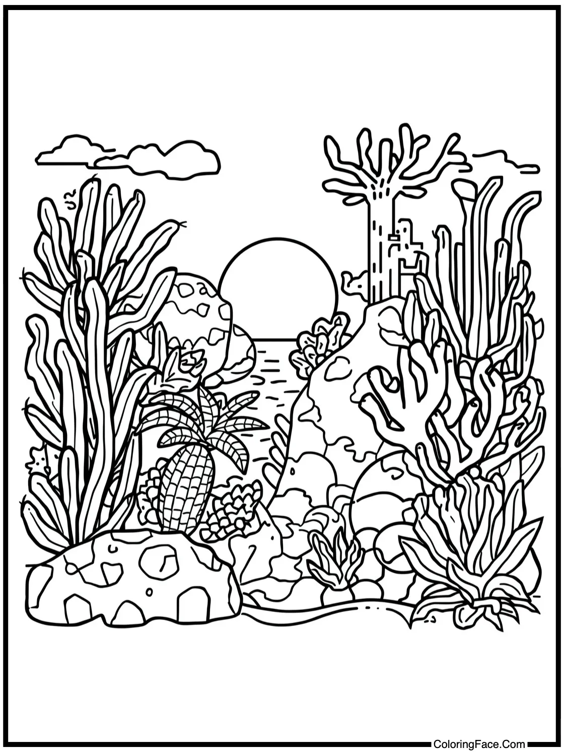 Coral garden thriving