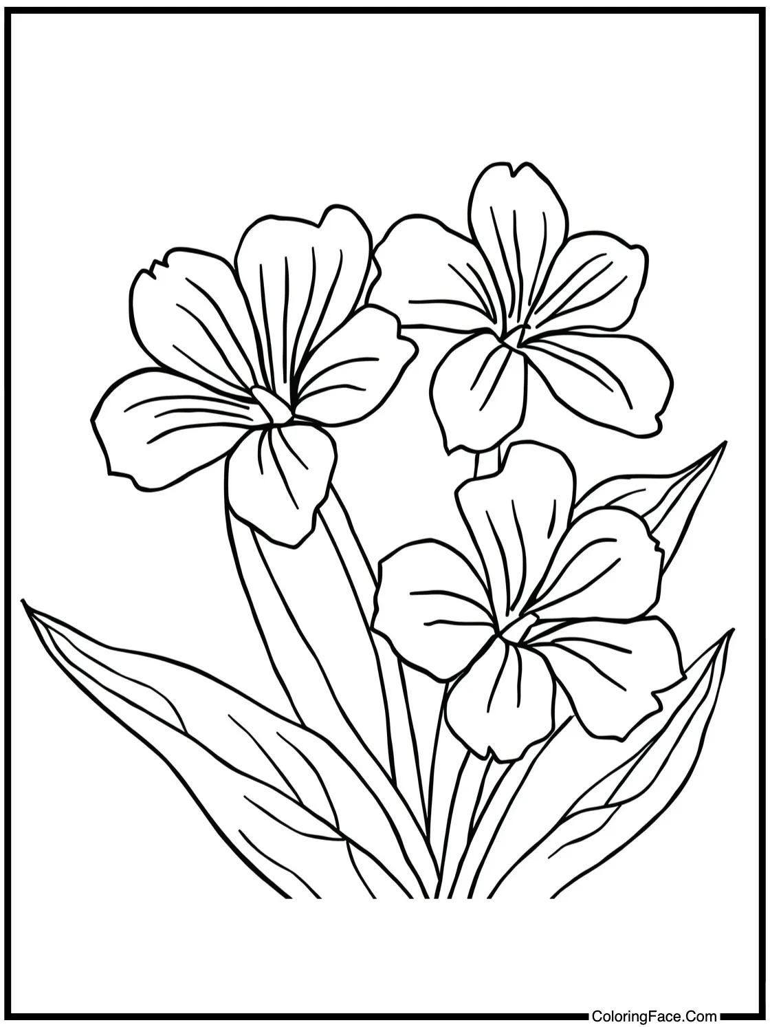 Exotic flowers blooming