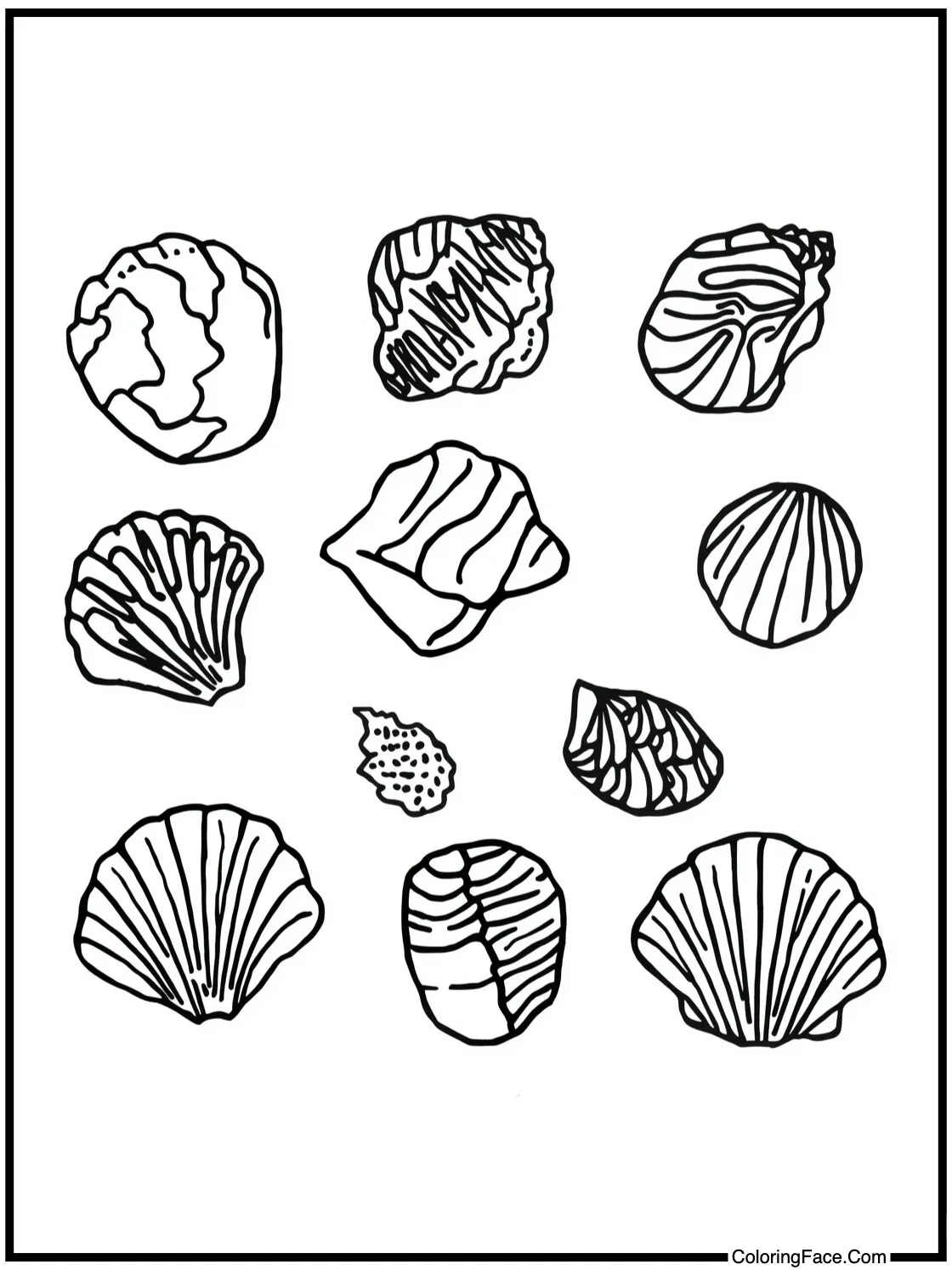 Kids collecting shells