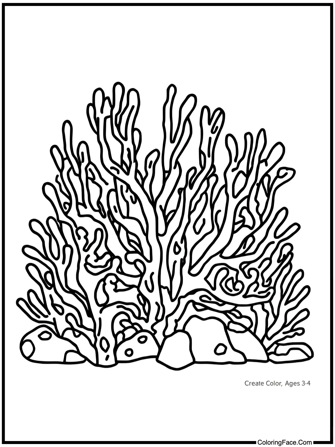 Bright coral formations