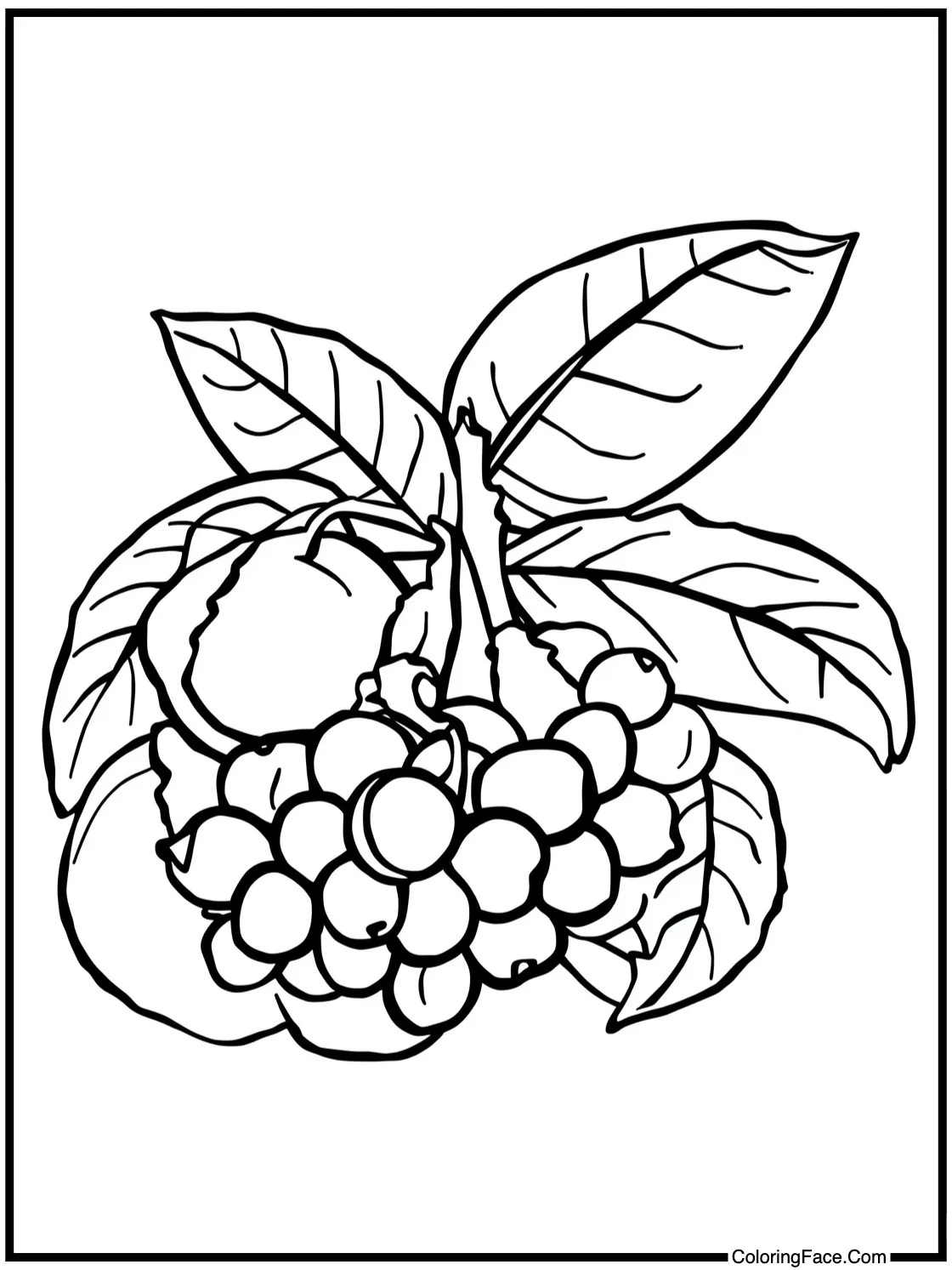 Tropical fruits growing