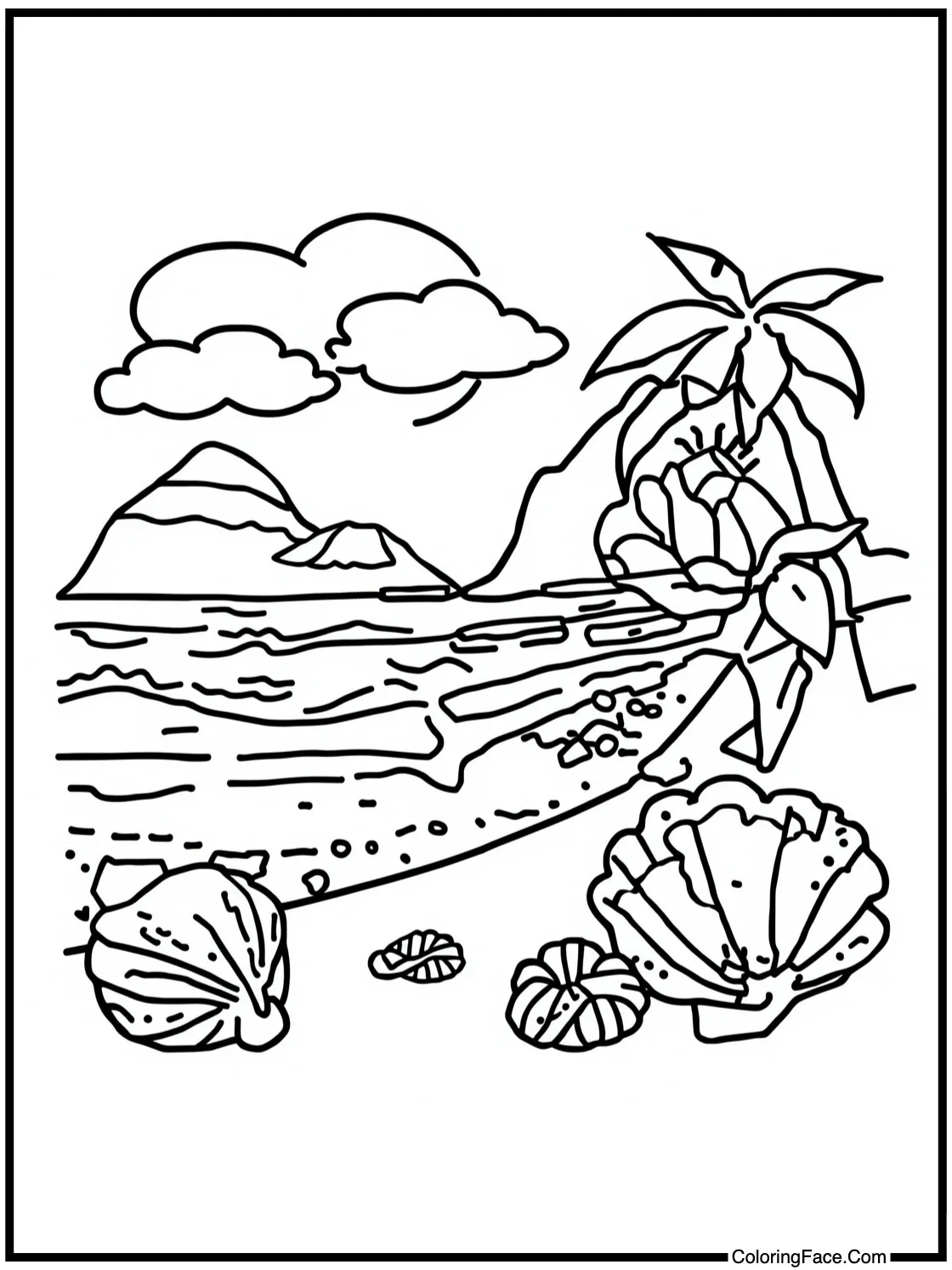 Beach with seashells