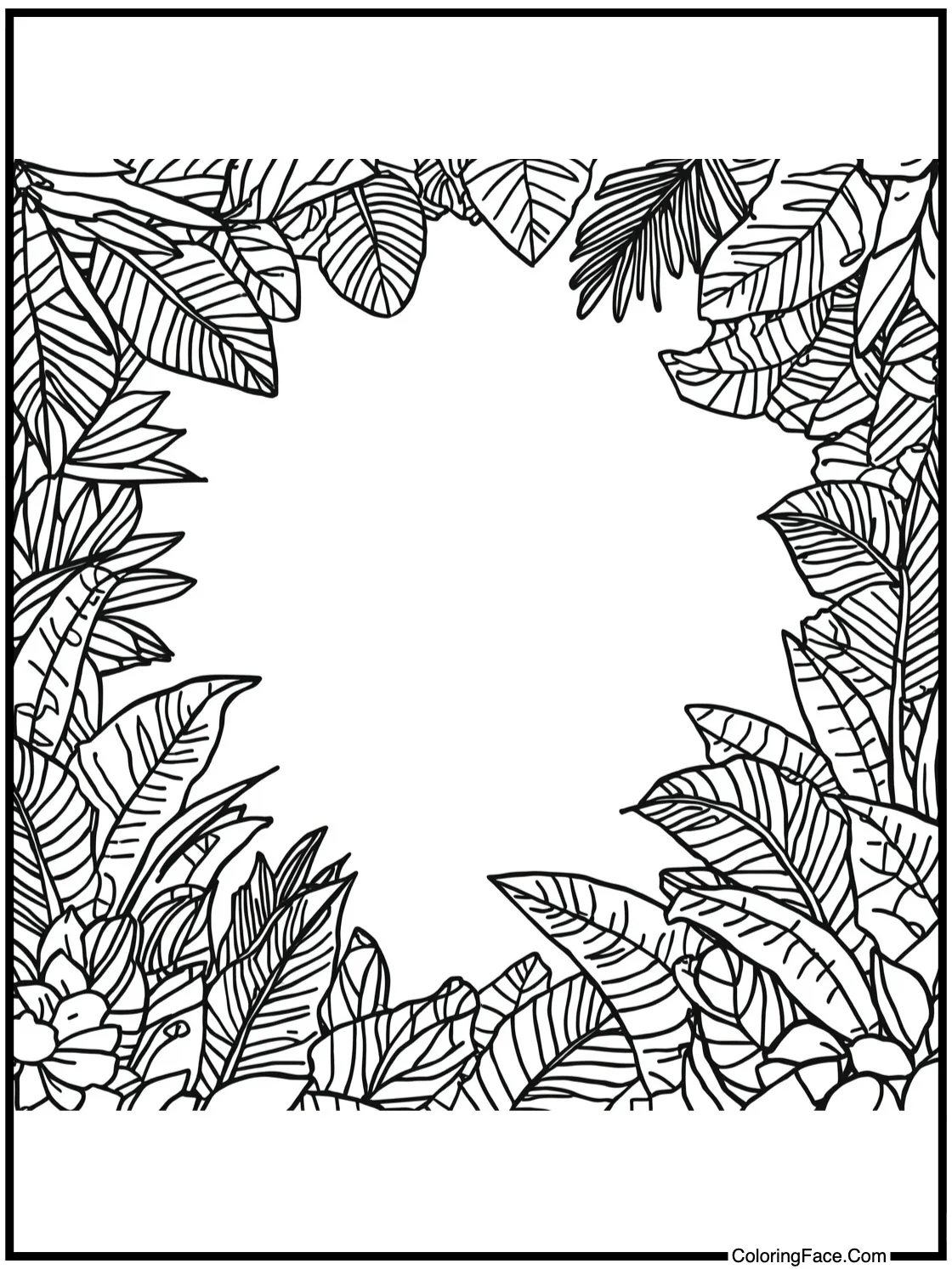 Lush rainforest canopy