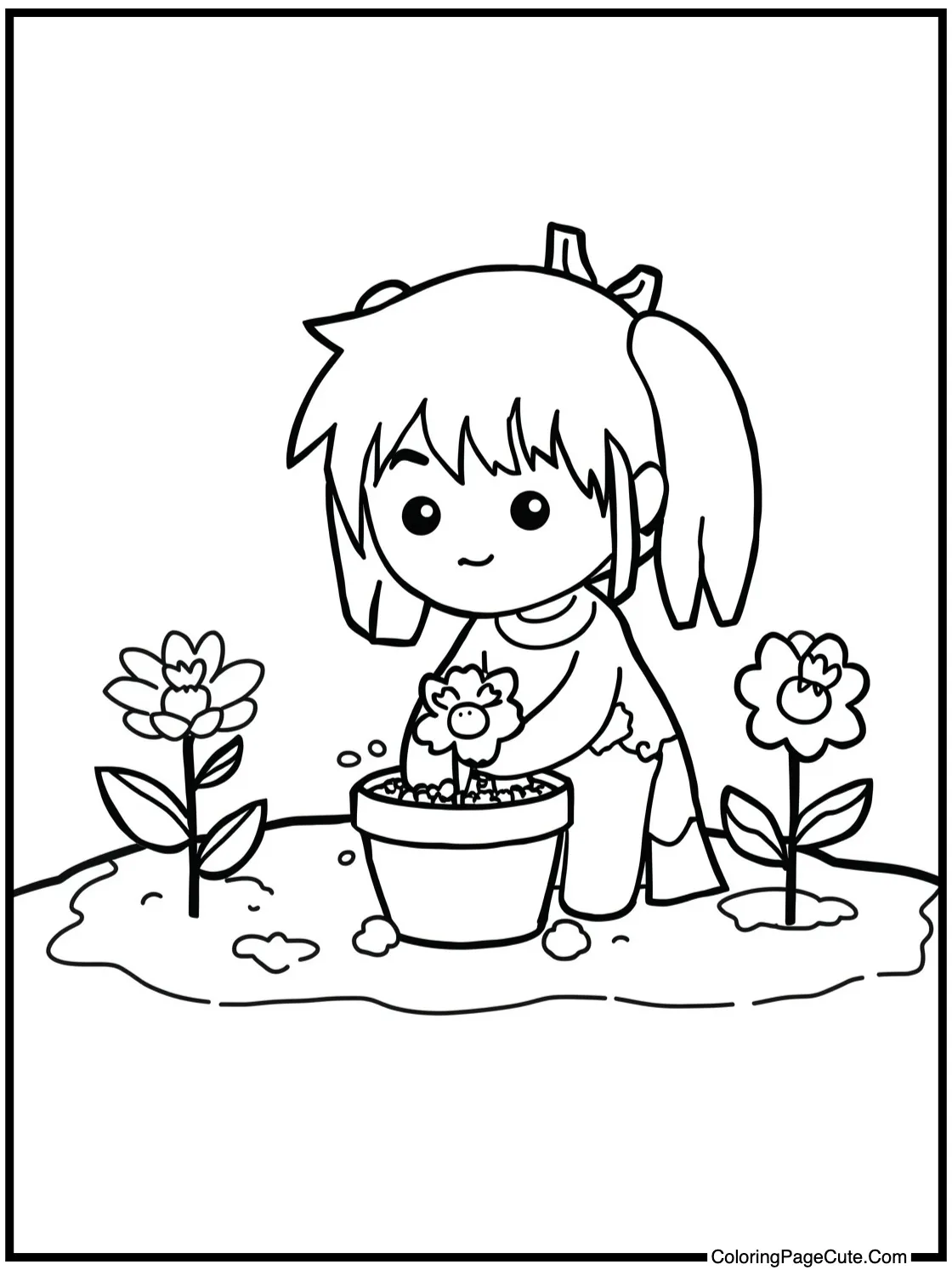 planting flowers