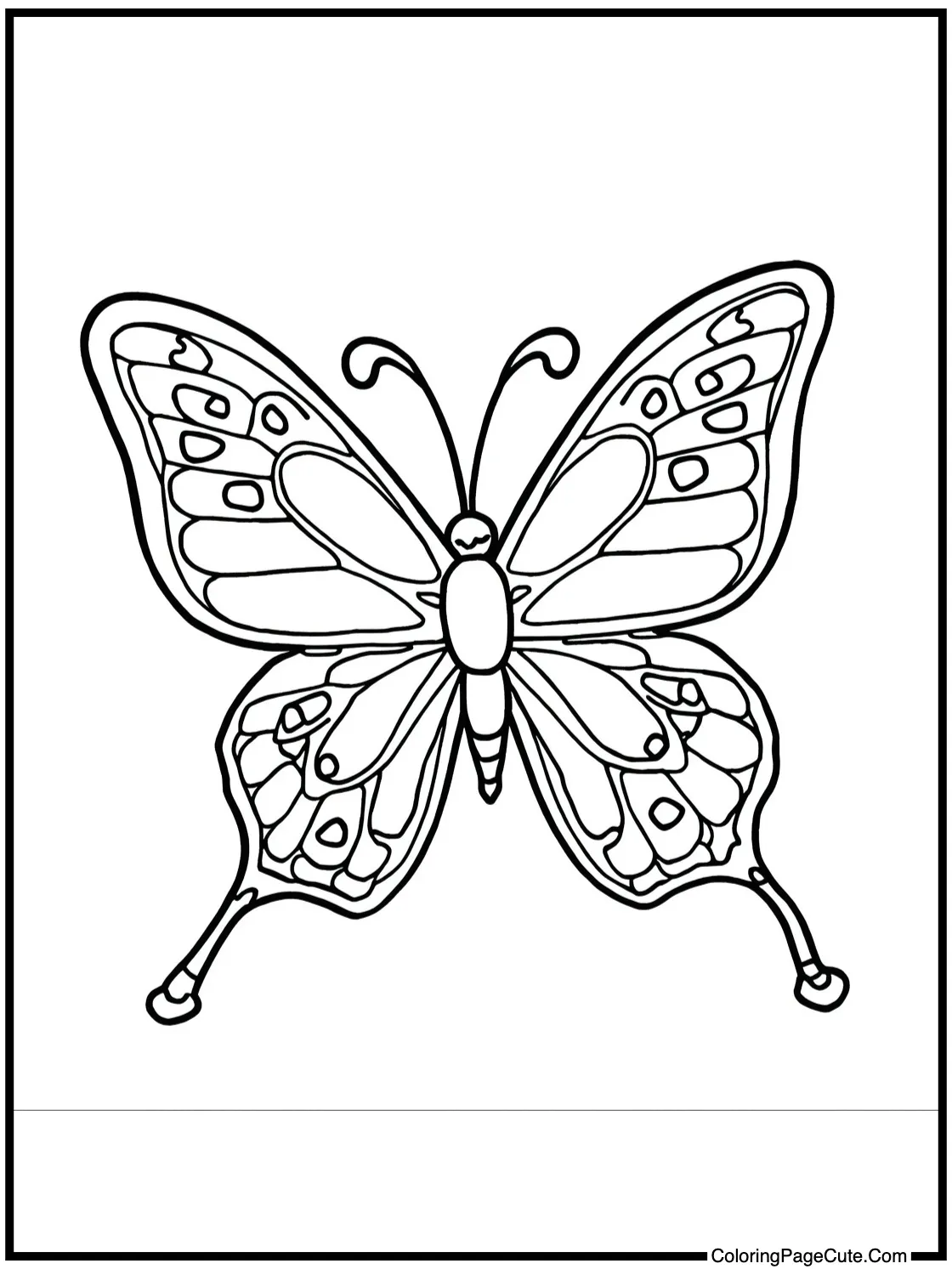 admiring butterflies