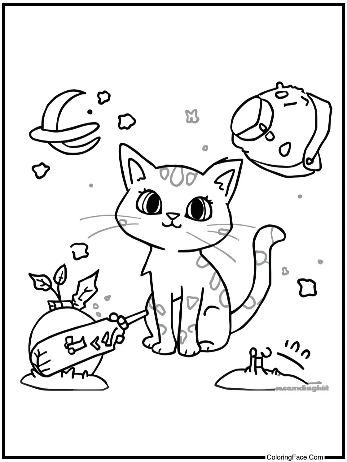 curious cat adventures